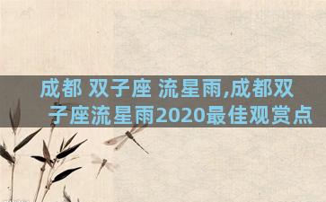 成都 双子座 流星雨,成都双子座流星雨2020最佳观赏点